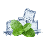 Ice Mint / Колада