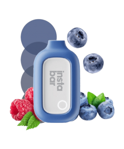 Disposable Vape Blueberry Raspberry 5000 Puff 12ml 650 mAh