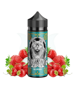 Steampunk Marion 30ml for 120ml