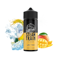 Ghost Train 30ml for 120ml Flavour Shot