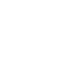 Kiwi Vapor