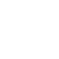 Early Bird
